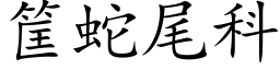 筐蛇尾科 (楷體矢量字庫)