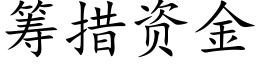 籌措資金 (楷體矢量字庫)