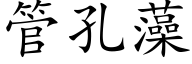 管孔藻 (楷体矢量字库)