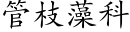 管枝藻科 (楷體矢量字庫)