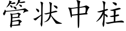 管状中柱 (楷体矢量字库)