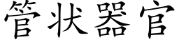 管状器官 (楷体矢量字库)