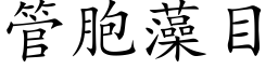 管胞藻目 (楷体矢量字库)