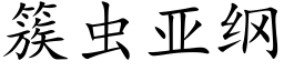 簇虫亚纲 (楷体矢量字库)