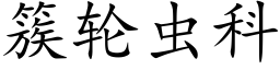 簇轮虫科 (楷体矢量字库)