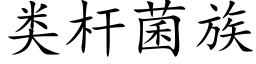 類杆菌族 (楷體矢量字庫)