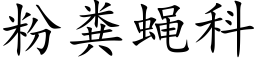 粉粪蝇科 (楷体矢量字库)