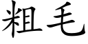 粗毛 (楷體矢量字庫)