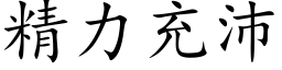 精力充沛 (楷体矢量字库)