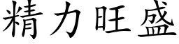 精力旺盛 (楷体矢量字库)