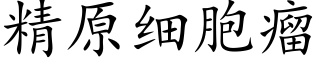 精原細胞瘤 (楷體矢量字庫)
