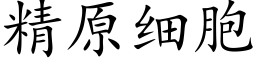 精原细胞 (楷体矢量字库)