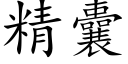 精囊 (楷體矢量字庫)