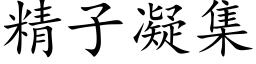 精子凝集 (楷体矢量字库)