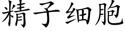 精子细胞 (楷体矢量字库)