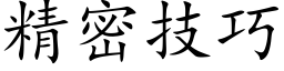 精密技巧 (楷體矢量字庫)