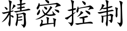 精密控制 (楷體矢量字庫)