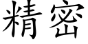 精密 (楷體矢量字庫)