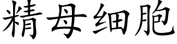 精母細胞 (楷體矢量字庫)