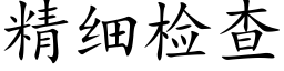 精细检查 (楷体矢量字库)