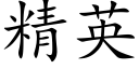 精英 (楷体矢量字库)