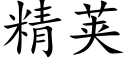 精荚 (楷体矢量字库)