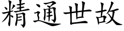 精通世故 (楷体矢量字库)