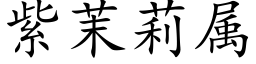 紫茉莉属 (楷体矢量字库)