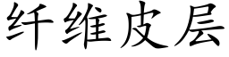 纖維皮層 (楷體矢量字庫)