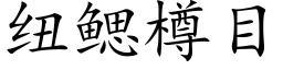 纽鳃樽目 (楷体矢量字库)