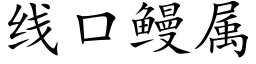 線口鳗屬 (楷體矢量字庫)