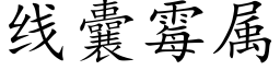 线囊霉属 (楷体矢量字库)