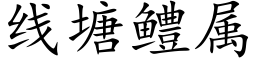 线塘鳢属 (楷体矢量字库)