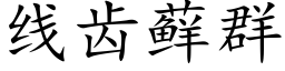 线齿藓群 (楷体矢量字库)