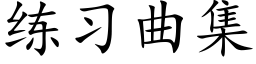 练习曲集 (楷体矢量字库)