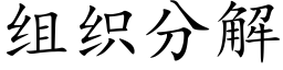 组织分解 (楷体矢量字库)