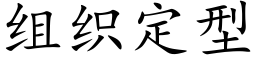 组织定型 (楷体矢量字库)