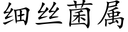 细丝菌属 (楷体矢量字库)