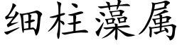 細柱藻屬 (楷體矢量字庫)