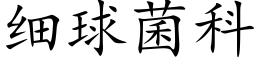 細球菌科 (楷體矢量字庫)