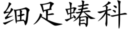 细足蝽科 (楷体矢量字库)