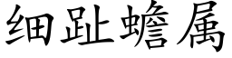 细趾蟾属 (楷体矢量字库)