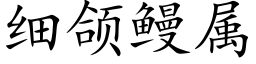 細颌鳗屬 (楷體矢量字庫)