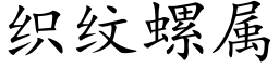 織紋螺屬 (楷體矢量字庫)