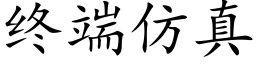 終端仿真 (楷體矢量字庫)