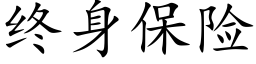 終身保險 (楷體矢量字庫)