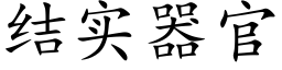 結實器官 (楷體矢量字庫)