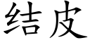 結皮 (楷體矢量字庫)