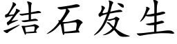 结石发生 (楷体矢量字库)