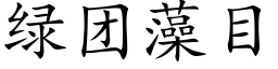 绿团藻目 (楷体矢量字库)